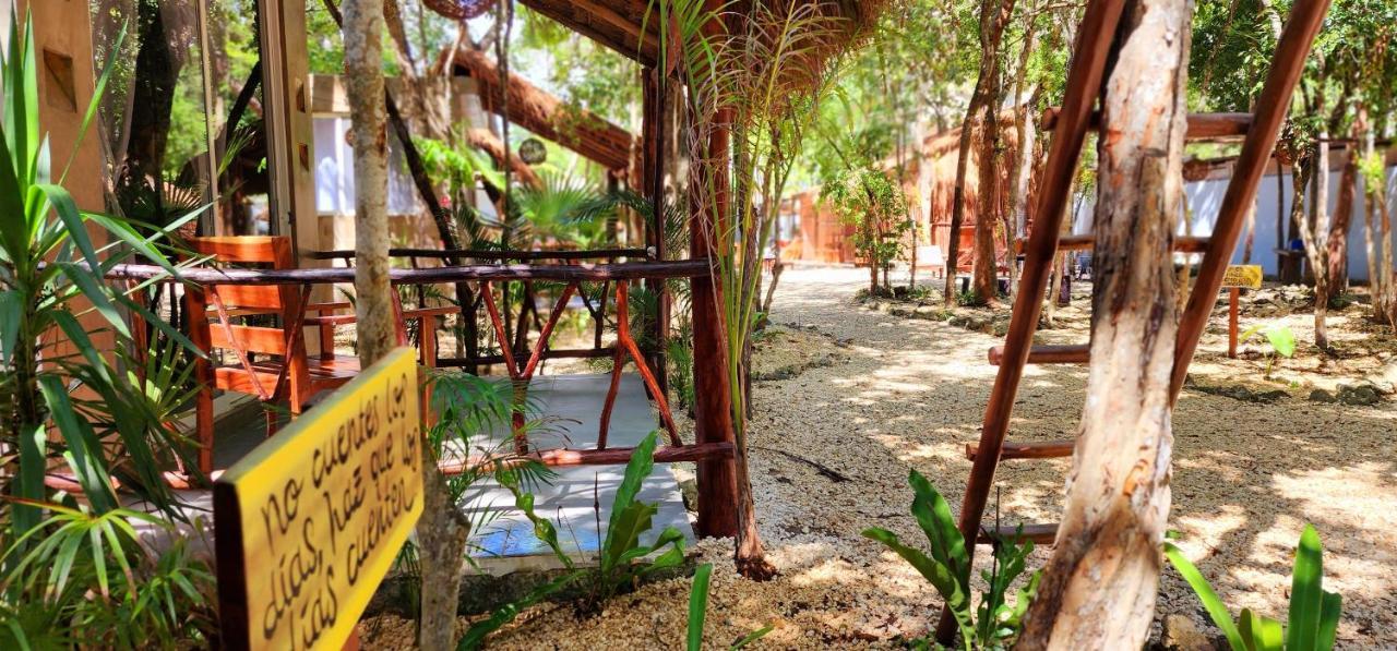 Kin Jungle Deluxe Pensión