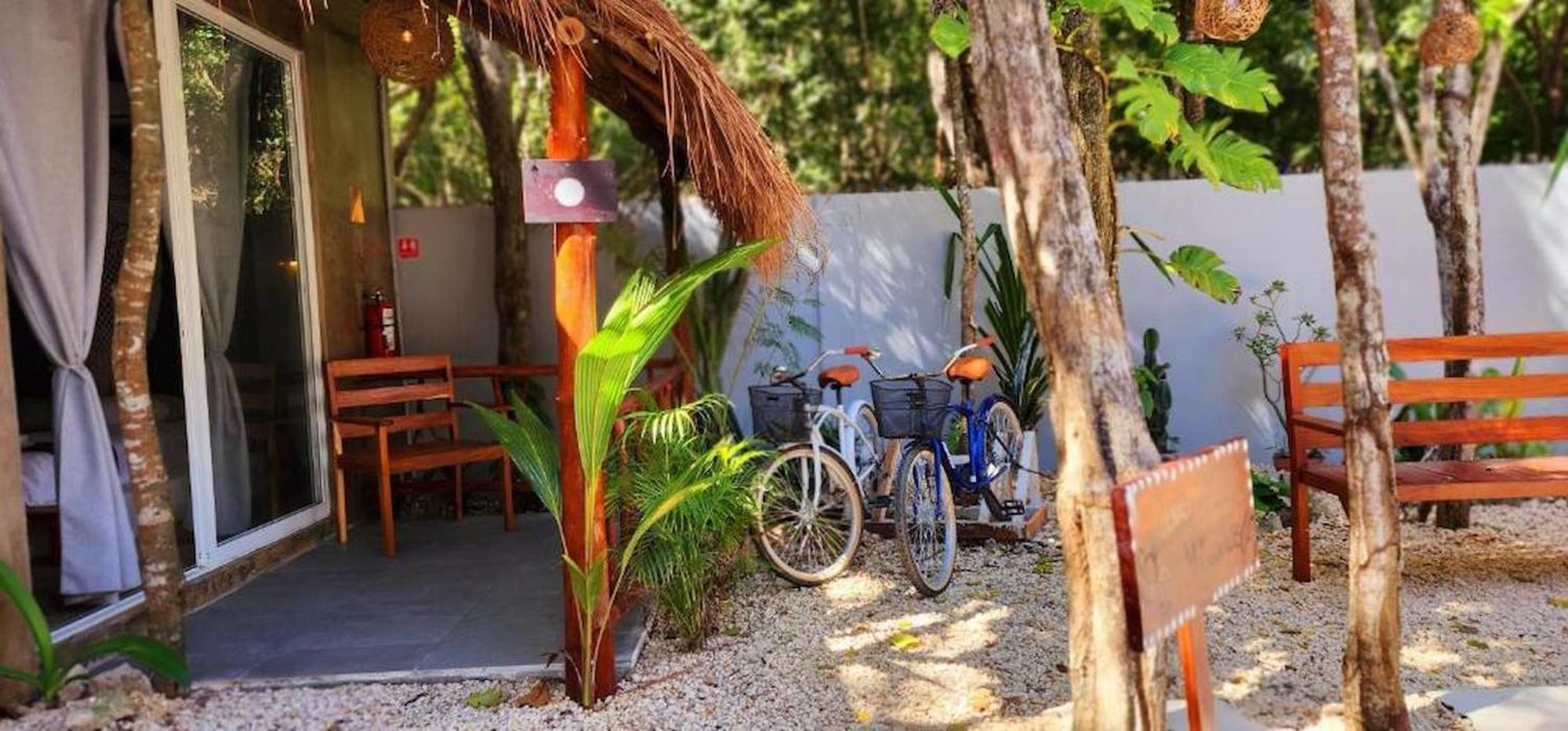 Kin Jungle Deluxe Pensión *